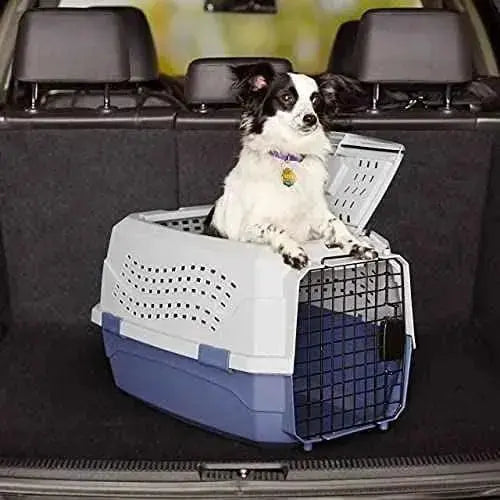 Trasportín de 2 puertas con carga superior, 58 cm Productos para animales Amazon Basics Accesorios para viajar con perros, Amazon Basics, Productos para animales SacrificioShop sacrificioshop.com {{ shop.shopifyCountryName }} {{ shop.shopifyProvince }} B00OP6SVJW 42.51 Trasportín de 2 puertas con carga superior, 58 cm - Default Title