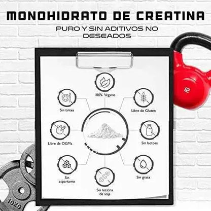 Creatina en polvo - 1kg / 1000 g - Monohidrato de creatina puro - Solubilidad óptima - Vegano - Sin aditivos - Polvo puro - German Elite Nutrition Drugstore GEN GERMAN ELITE NUTRITION Drugstore, GEN GERMAN ELITE NUTRITION, minerales y suplementos, Vitaminas SacrificioShop sacrificioshop.com Spain A Coruña B0849KTWT3 29.99 Creatina en polvo - 1kg / 1000 g - Monohidrato de creatina puro - Solubilidad óptima - Vegano - Sin aditivos - Polvo puro - German Elite Nutrition - Default Title
