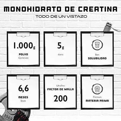 Creatina en polvo - 1kg / 1000 g - Monohidrato de creatina puro - Solubilidad óptima - Vegano - Sin aditivos - Polvo puro - German Elite Nutrition Drugstore GEN GERMAN ELITE NUTRITION Drugstore, GEN GERMAN ELITE NUTRITION, minerales y suplementos, Vitaminas SacrificioShop sacrificioshop.com Spain A Coruña B0849KTWT3 29.99 Creatina en polvo - 1kg / 1000 g - Monohidrato de creatina puro - Solubilidad óptima - Vegano - Sin aditivos - Polvo puro - German Elite Nutrition - Default Title