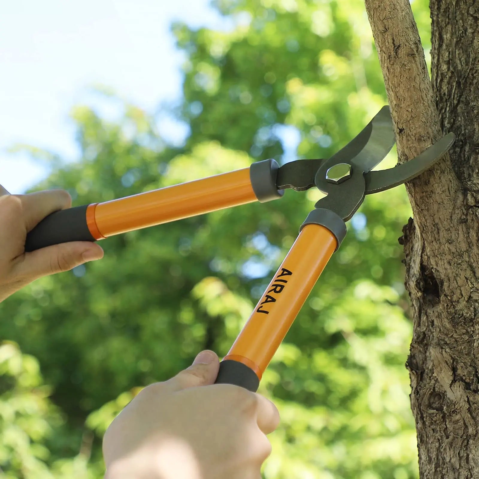 AIRAJ 38.5cm Ligeras Tijeras de Podar/Tijeras Poda de Jardín Profesionales,Tijeras de podar de Utilizadas para Rmas Gruesas y Arbustos - Cuchilla SK5 - Elección Ideal AIRAJ