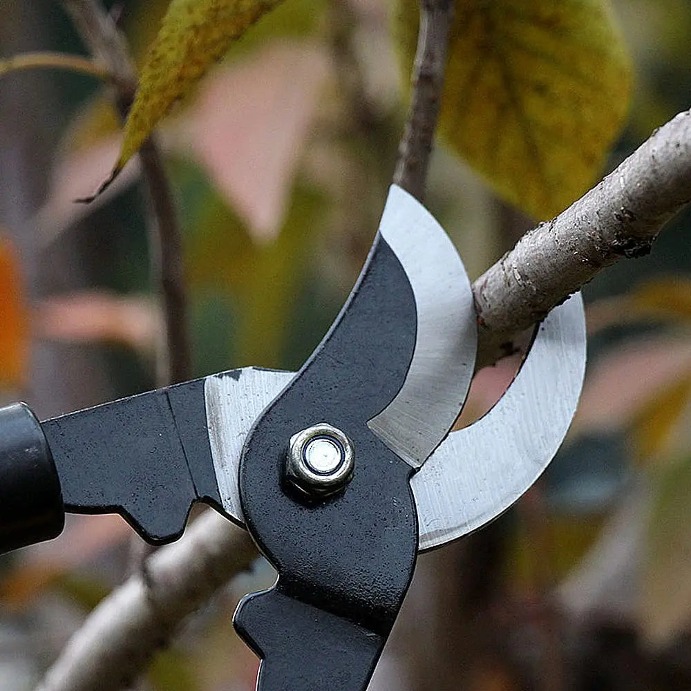 AIRAJ 38.5cm Ligeras Tijeras de Podar/Tijeras Poda de Jardín Profesionales,Tijeras de podar de Utilizadas para Rmas Gruesas y Arbustos - Cuchilla SK5 - Elección Ideal AIRAJ