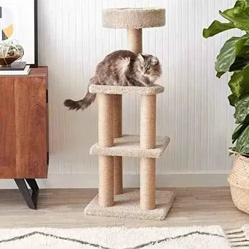 Árbol de gatos con postes rascadores - Grande Productos para animales Amazon Basics Amazon Basics, Productos para animales, Árboles para gatos SacrificioShop sacrificioshop.com {{ shop.shopifyCountryName }} {{ shop.shopifyProvince }} B06X6J3L65 63.00 Árbol de gatos con postes rascadores - Grande - Default Title