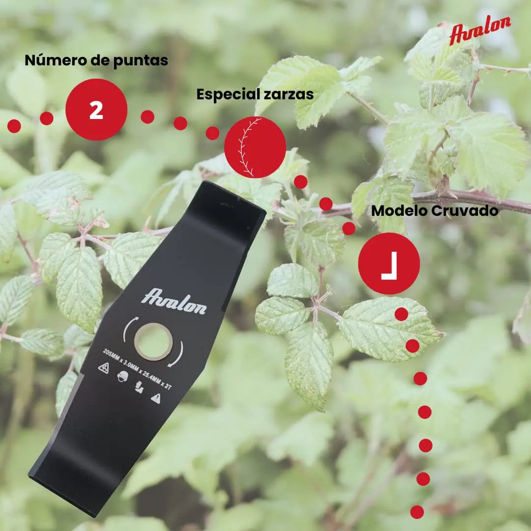 Avalon - Disco de 2 Puntas Universal para Desbrozadora o Cortacésped, Cuchilla para Cortar Zarza o Vegetación Densa, Acero de 3 mm (205 x 3 mm) Avalon