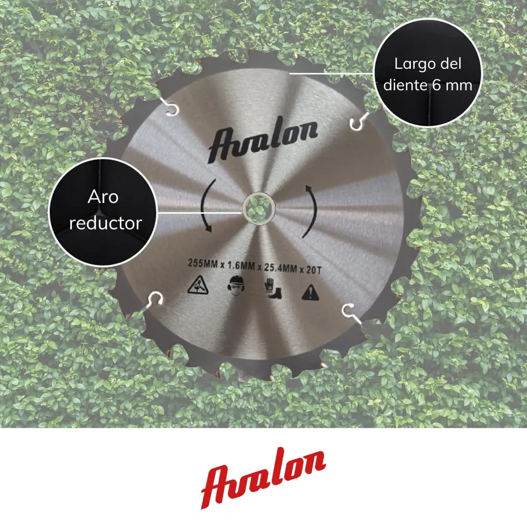 Avalon - Disco de 20 Dientes Antirrebote para Desbrozadora, Cuchilla Especial para Tallos Leñosos 255 x 1,6 mm, Longitud del Diente de widia 6 mm Avalon