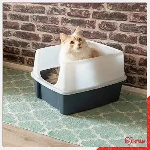 Bandeja de arena o arenero gatos con borde alto, sin saliente de basura, borde alto extraíble, altura de entrada: 15 cm, Pala incluida Productos para animales Iris Ohyama Cajas de arena, Iris Ohyama, Productos para animales SacrificioShop sacrificioshop.com {{ shop.shopifyCountryName }} {{ shop.shopifyProvince }} B07BP1RGBF 19.99 Bandeja de arena o arenero gatos con borde alto, sin saliente de basura, borde alto extraíble, altura de entrada: 15 cm, Pala incluida - Default Title