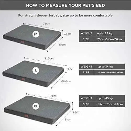 Bedsure Cama Perro Extra Grande Ortopédica - Colchón Perro Lavable XL, Desenfundable con Espuma, 112x81x7.6 cm Productos para animales Bedsure Bedsure, Camas, Productos para animales SacrificioShop sacrificioshop.com {{ shop.shopifyCountryName }} {{ shop.shopifyProvince }} B0859YMJF3 42.79 Bedsure Cama Perro Extra Grande Ortopédica - Colchón Perro Lavable XL, Desenfundable con Espuma, 112x81x7.6 cm - Default Title