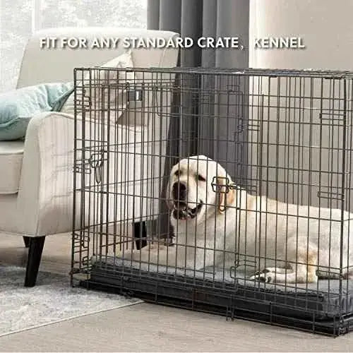 Bedsure Cama Perro Extra Grande Ortopédica - Colchón Perro Lavable XL, Desenfundable con Espuma, 112x81x7.6 cm Productos para animales Bedsure Bedsure, Camas, Productos para animales SacrificioShop sacrificioshop.com {{ shop.shopifyCountryName }} {{ shop.shopifyProvince }} B0859YMJF3 42.79 Bedsure Cama Perro Extra Grande Ortopédica - Colchón Perro Lavable XL, Desenfundable con Espuma, 112x81x7.6 cm - Default Title