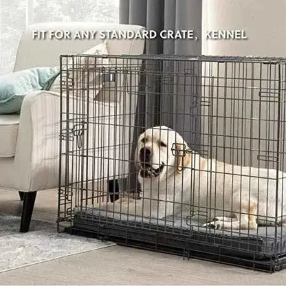 Bedsure Cama Perro Extra Grande Ortopédica - Colchón Perro Lavable XL, Desenfundable con Espuma, 112x81x7.6 cm Productos para animales Bedsure Bedsure, Camas, Productos para animales SacrificioShop sacrificioshop.com {{ shop.shopifyCountryName }} {{ shop.shopifyProvince }} B0859YMJF3 42.79 Bedsure Cama Perro Extra Grande Ortopédica - Colchón Perro Lavable XL, Desenfundable con Espuma, 112x81x7.6 cm - Default Title