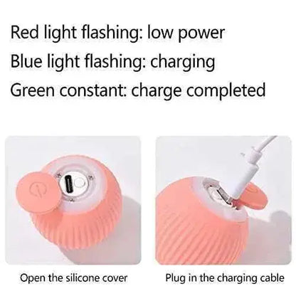 Bola de juguete interactiva para gatos, juguete inteligente recargable por USB, para gatos con luz y kit de bolas autorroscante Productos para animales JINGSHUBO JINGSHUBO, Pelotas, Productos para animales SacrificioShop sacrificioshop.com {{ shop.shopifyCountryName }} {{ shop.shopifyProvince }} B0BKGBG838 15.99 Bola de juguete interactiva para gatos, juguete inteligente recargable por USB, para gatos con luz y kit de bolas autorroscante - Default Title