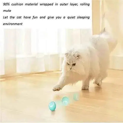 Bola de juguete interactiva para gatos, juguete inteligente recargable por USB, para gatos con luz y kit de bolas autorroscante Productos para animales JINGSHUBO JINGSHUBO, Pelotas, Productos para animales SacrificioShop sacrificioshop.com {{ shop.shopifyCountryName }} {{ shop.shopifyProvince }} B0BKGBG838 15.99 Bola de juguete interactiva para gatos, juguete inteligente recargable por USB, para gatos con luz y kit de bolas autorroscante - Default Title