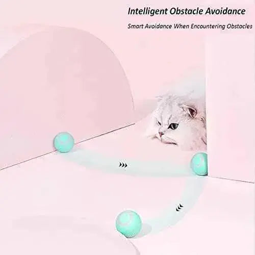 Bola de juguete interactiva para gatos, juguete inteligente recargable por USB, para gatos con luz y kit de bolas autorroscante Productos para animales JINGSHUBO JINGSHUBO, Pelotas, Productos para animales SacrificioShop sacrificioshop.com {{ shop.shopifyCountryName }} {{ shop.shopifyProvince }} B0BKGBG838 15.99 Bola de juguete interactiva para gatos, juguete inteligente recargable por USB, para gatos con luz y kit de bolas autorroscante - Default Title