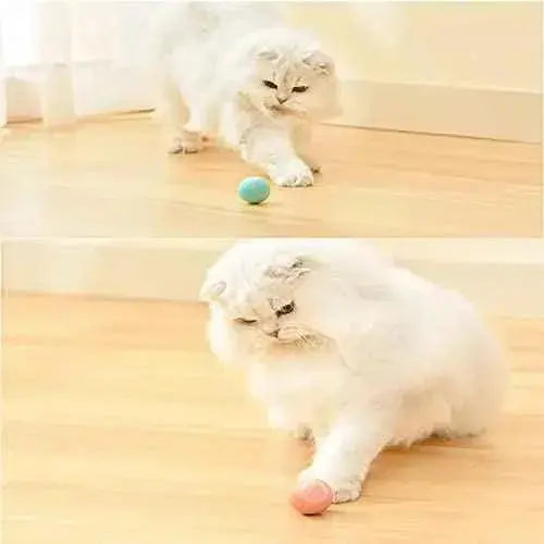 Bola de juguete interactiva para gatos, juguete inteligente recargable por USB, para gatos con luz y kit de bolas autorroscante Productos para animales JINGSHUBO JINGSHUBO, Pelotas, Productos para animales SacrificioShop sacrificioshop.com {{ shop.shopifyCountryName }} {{ shop.shopifyProvince }} B0BKGBG838 15.99 Bola de juguete interactiva para gatos, juguete inteligente recargable por USB, para gatos con luz y kit de bolas autorroscante - Default Title