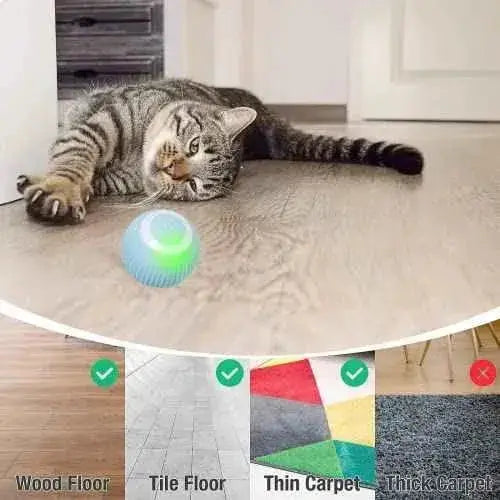Bola de juguete interactiva para gatos, juguete inteligente recargable por USB, para gatos con luz y kit de bolas autorroscante Productos para animales JINGSHUBO JINGSHUBO, Pelotas, Productos para animales SacrificioShop sacrificioshop.com {{ shop.shopifyCountryName }} {{ shop.shopifyProvince }} B0BKGBG838 15.99 Bola de juguete interactiva para gatos, juguete inteligente recargable por USB, para gatos con luz y kit de bolas autorroscante - Default Title