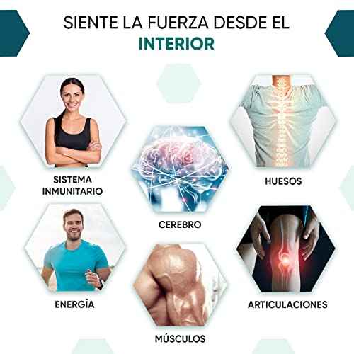 Calcio, Magnesio, Zinc y Vitamina D3, 400 Comprimidos Veganos (Más de 1 Año), Mantenimiento de Huesos, Sistema Inmunológico Drugstore WeightWorld Drugstore, minerales y suplementos, Vitaminas, WeightWorld SacrificioShop sacrificioshop.com {{ shop.shopifyCountryName }} {{ shop.shopifyProvince }} B08TCG2RH7 21.49 Calcio, Magnesio, Zinc y Vitamina D3, 400 Comprimidos Veganos (Más de 1 Año), Mantenimiento de Huesos, Sistema Inmunológico - Default Title