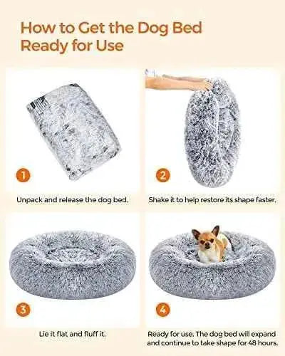 FEANDREA Cama de Perros, Cama para Mascotas, Cojín Central Extraíble y Lavable, Alfombra de Felpa Suave y Mullida, 60 cm de Diámetro Productos para animales FEANDREA Camas, FEANDREA, Productos para animales SacrificioShop sacrificioshop.com {{ shop.shopifyCountryName }} {{ shop.shopifyProvince }} B087PXTRLW 25.99 FEANDREA Cama de Perros, Cama para Mascotas, Cojín Central Extraíble y Lavable, Alfombra de Felpa Suave y Mullida, 60 cm de Diámetro - Default Title