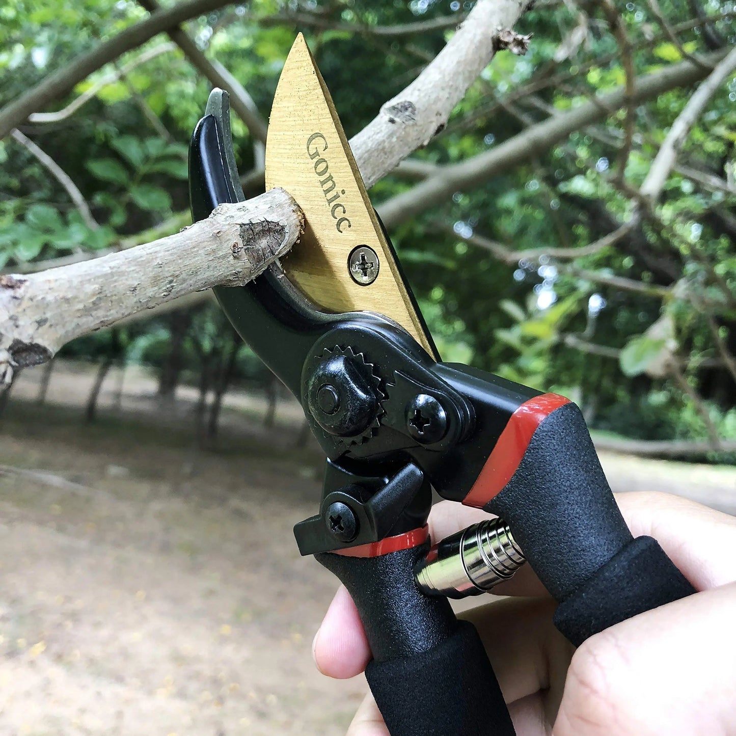 Gonicc Tijeras de podar Profesionales Forjada en acero y recuibierta en TITANIO (GPPS-1003), afiladas, con Hoja de Bypass. Tijera de Jardin ergonómicas y Ligeras gonicc