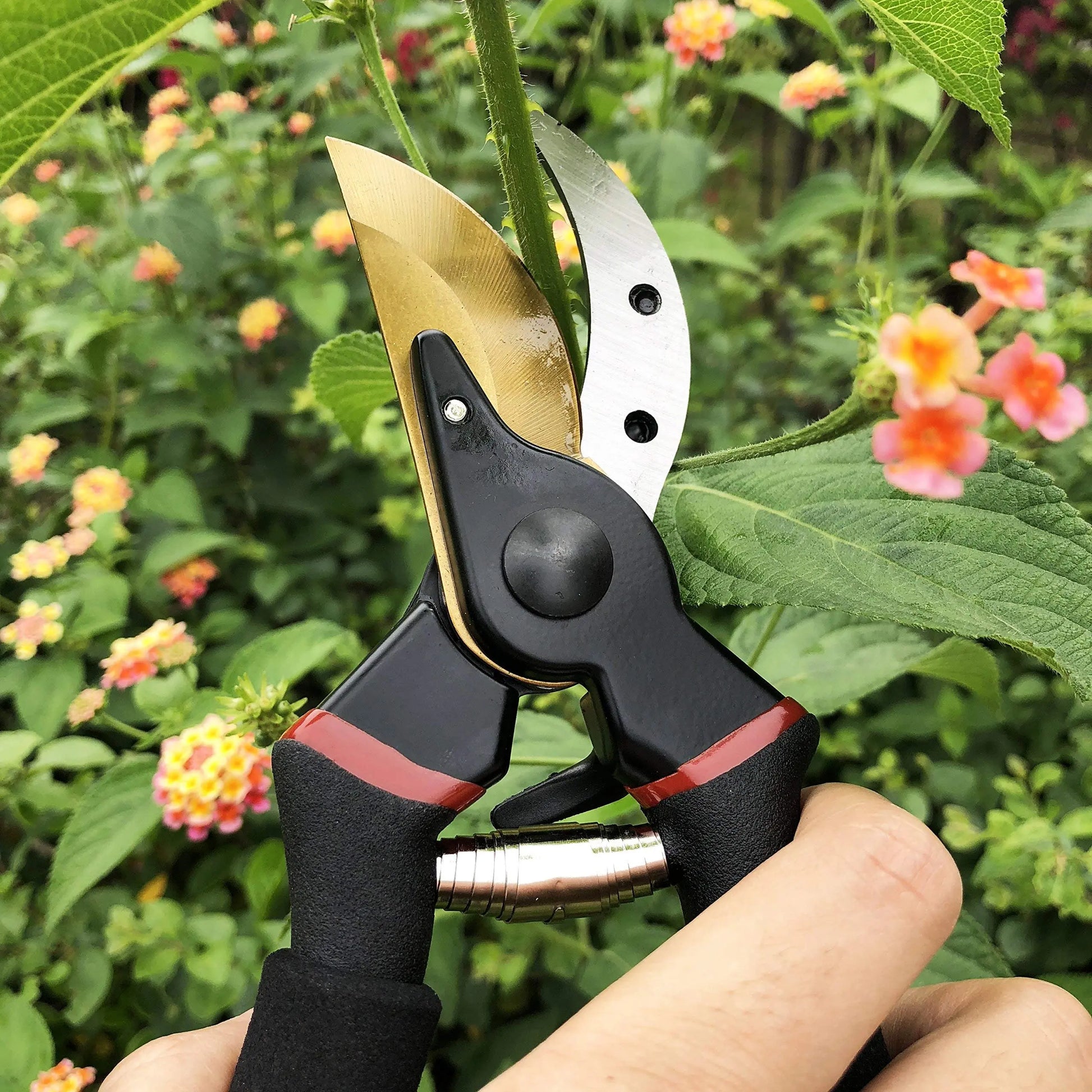 Gonicc Tijeras de podar Profesionales Forjada en acero y recuibierta en TITANIO (GPPS-1003), afiladas, con Hoja de Bypass. Tijera de Jardin ergonómicas y Ligeras gonicc