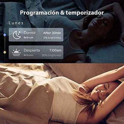 TP-Link Tapo L530E , Bombilla LED inteligente Wi-Fi, multicolor, regulable, E27, compatible con Alexa y Google Home, 2 Unidades Ordenador personal TP-Link Bombillas LED, Ordenador personal, TP-Link SacrificioShop sacrificioshop.com {{ shop.shopifyCountryName }} {{ shop.shopifyProvince }} B08QRQQ53T 14.90 TP-Link Tapo L530E , Bombilla LED inteligente Wi-Fi, multicolor, regulable, E27, compatible con Alexa y Google Home, 2 Unidades - Default Title