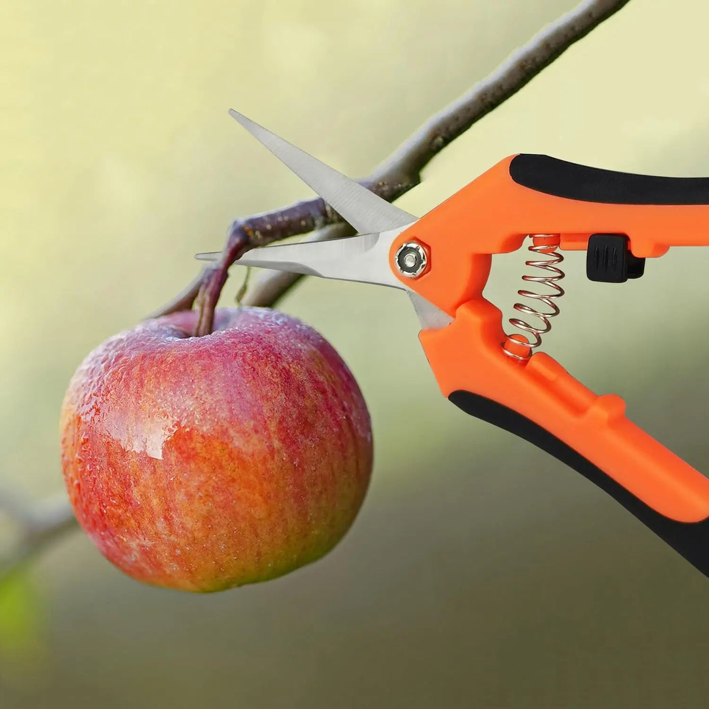 YPYMOD Tijera Podar Pequeña Para Jardinería, Punta Recta Profesionales para Recoger Frutas árbol Flor Ramas, Longitud: 16.5 cm, Cuchillas de Acero IInoxidable, Mangos de Plástico, Negro, Naranja YPYMOD