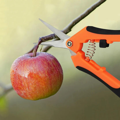 YPYMOD Tijera Podar Pequeña Para Jardinería, Punta Recta Profesionales para Recoger Frutas árbol Flor Ramas, Longitud: 16.5 cm, Cuchillas de Acero IInoxidable, Mangos de Plástico, Negro, Naranja YPYMOD