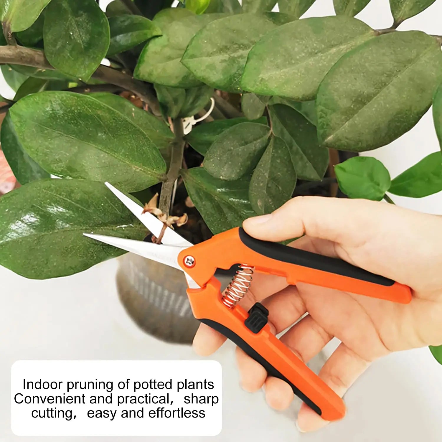 YPYMOD Tijera Podar Pequeña Para Jardinería, Punta Recta Profesionales para Recoger Frutas árbol Flor Ramas, Longitud: 16.5 cm, Cuchillas de Acero IInoxidable, Mangos de Plástico, Negro, Naranja YPYMOD