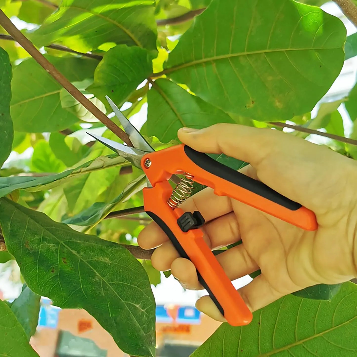YPYMOD Tijera Podar Pequeña Para Jardinería, Punta Recta Profesionales para Recoger Frutas árbol Flor Ramas, Longitud: 16.5 cm, Cuchillas de Acero IInoxidable, Mangos de Plástico, Negro, Naranja YPYMOD